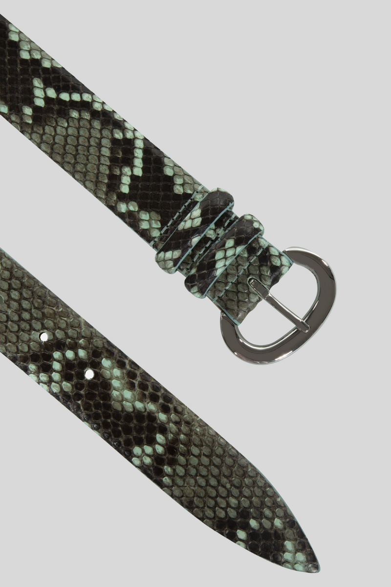 Belt in Blue Python